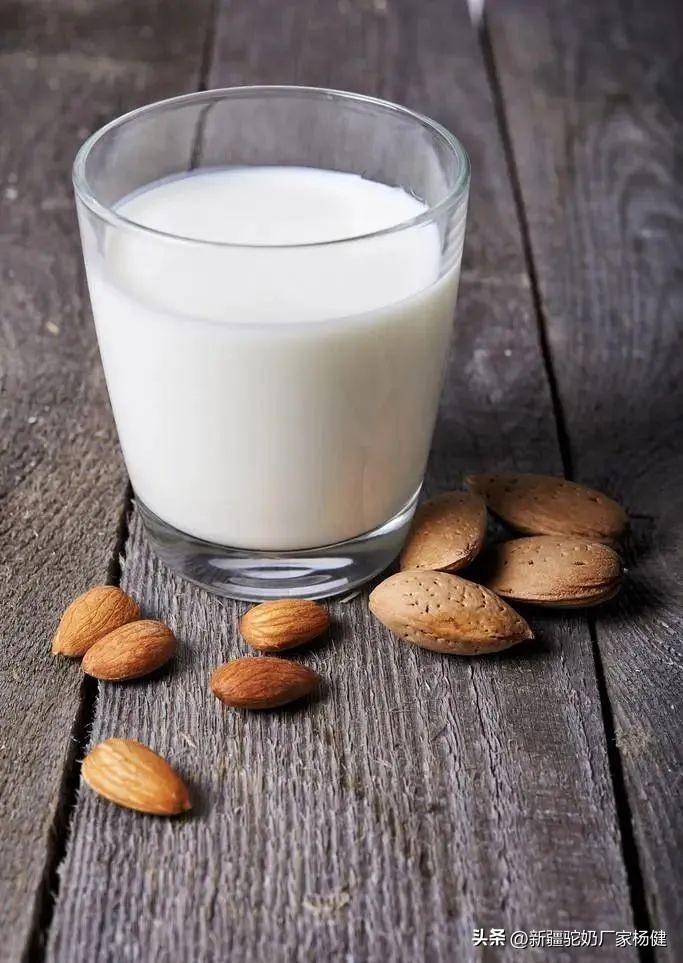 西域圣品骆驼奶,西藏正宗骆驼奶