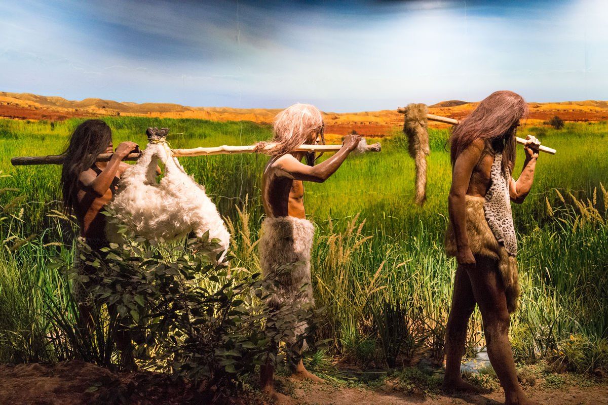 足球为什么让人痴迷,足球为什么要疯狂庆祝