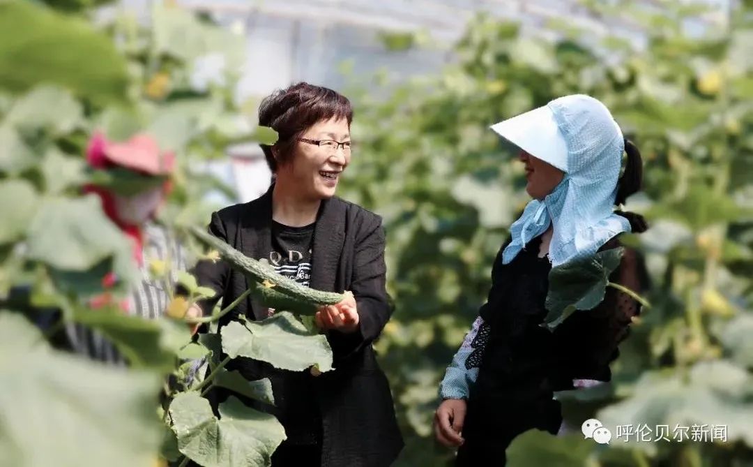 呼伦贝尔：做大生态“绿银行”托起百姓“致富梦”——深入践行习*平近**生态文明思想系列报道之六