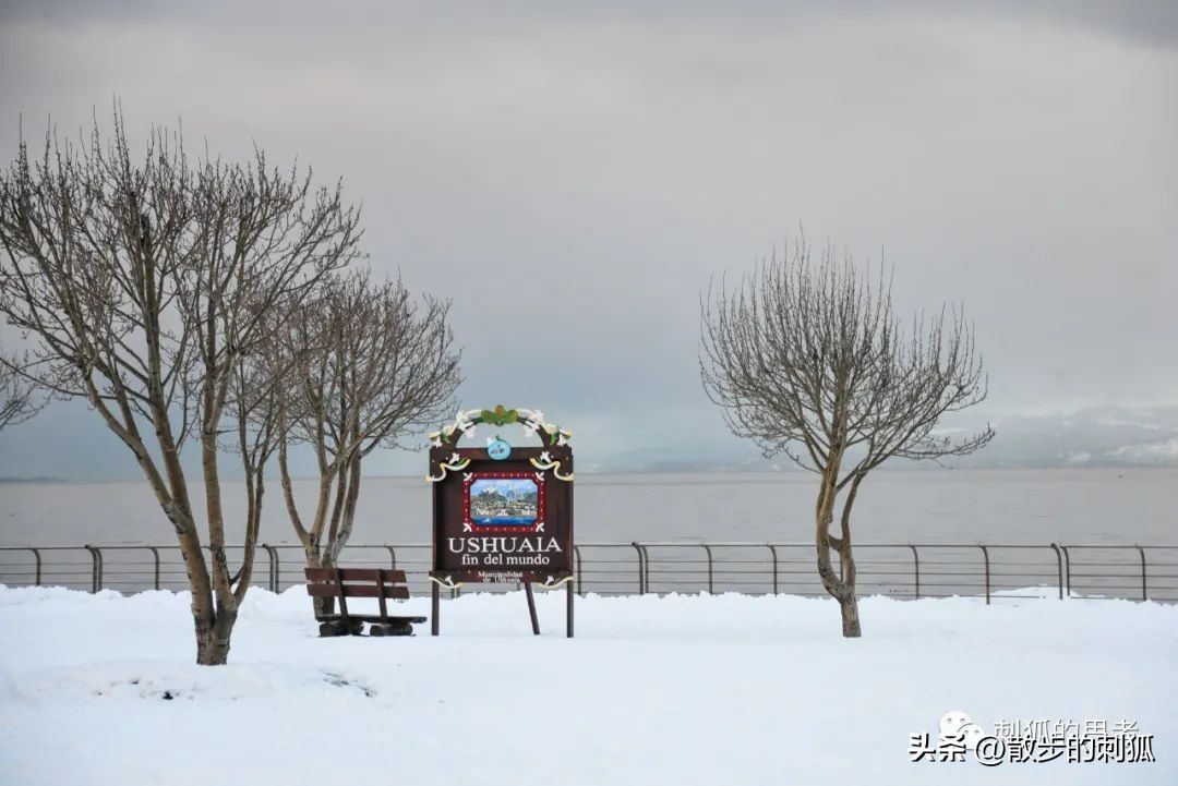 马拉多纳的足球传奇,马拉多纳的世纪之传
