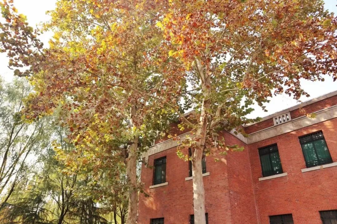 济南“艺”周演出、活动和展览预告来啦！央美“潮”第二季精彩展出，大型民族舞剧《乳娘》震撼上演！