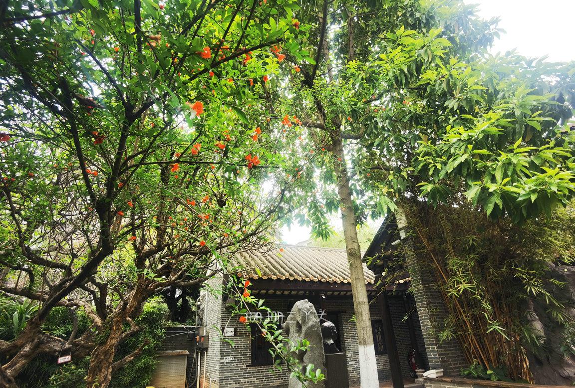 大湾区寻宝丹霞山,广州大湾区寻宝图