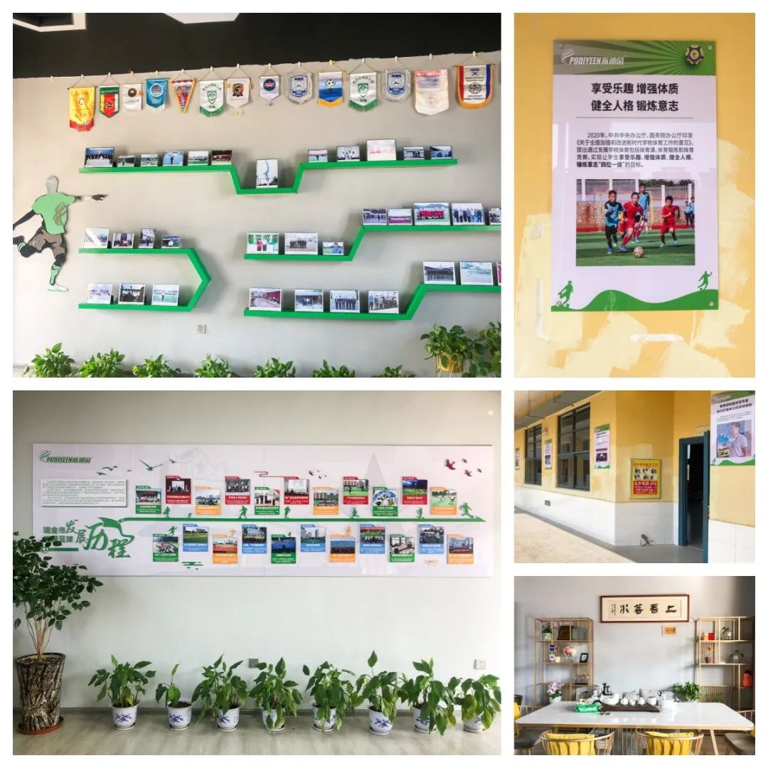 派迪茵体育用品有限公司,派迪茵足球比赛