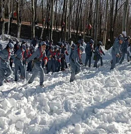 北诗镇科协等部门在卧龙湾康养小镇开展关爱未成年人科普实践研学