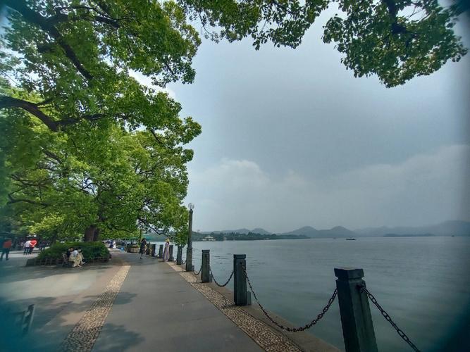 2022年全国综合竞争力百强主城区,2021城市综合竞争力百强市