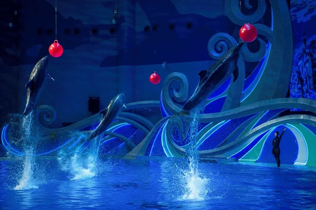 承包470000㎡山水野奢美景，泛舟下午茶…隐居桂林传奇酒店