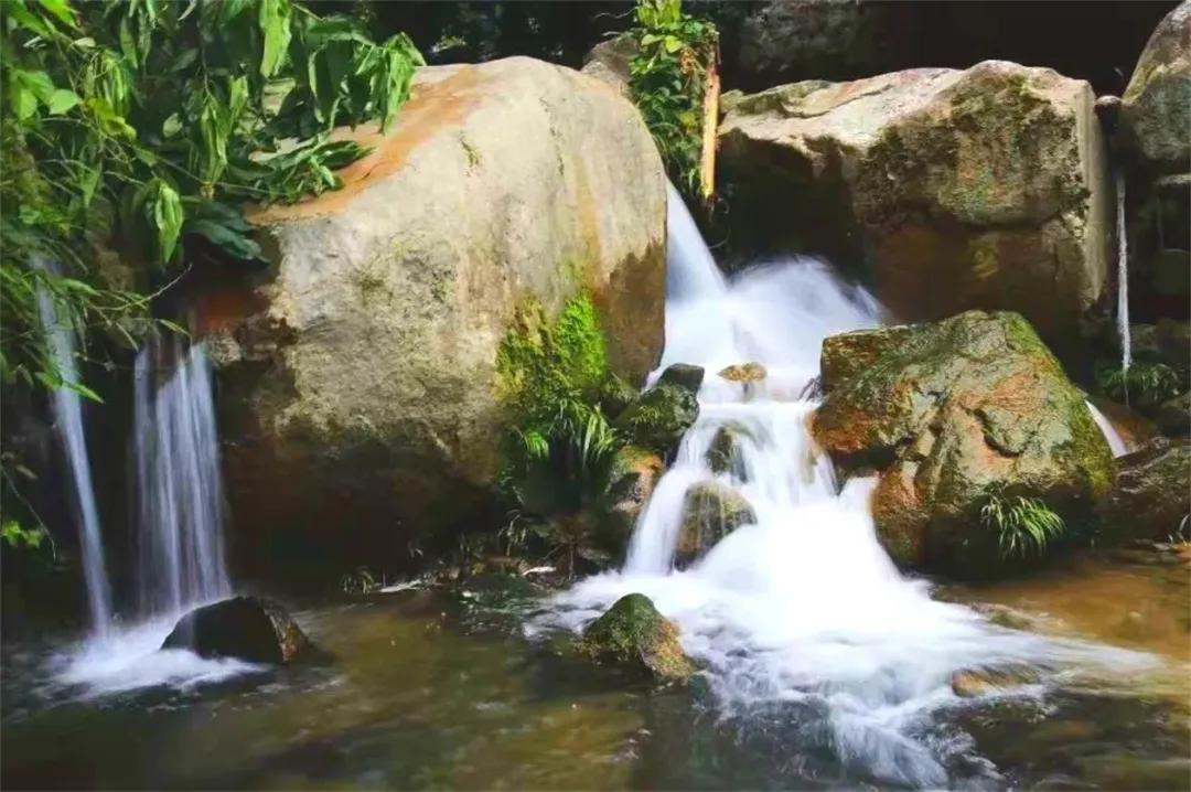 从化东成荷花园,从化摘荔枝之旅