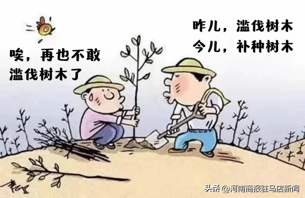 未办理林木采伐许可证砍自己家树,伐自家的树用申请吗