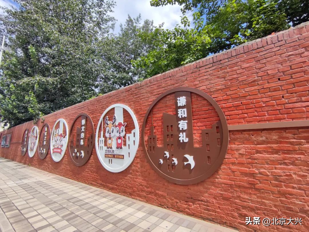 高颜值的大兴,拼的是实力!