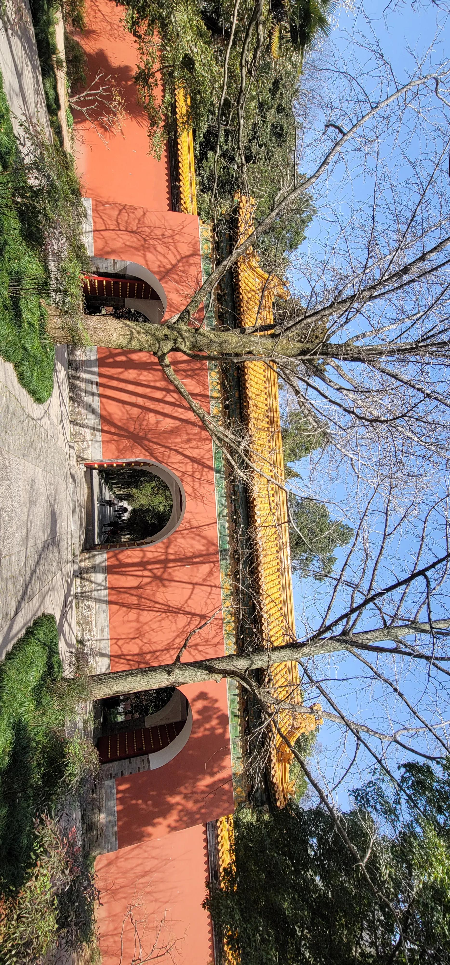 开着沪牌回老家怎么样,开着大巴玩转江浙沪