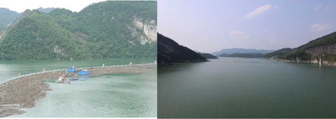 最高法院办理生态环境公益诉讼,检察院公益诉讼典型案例课程