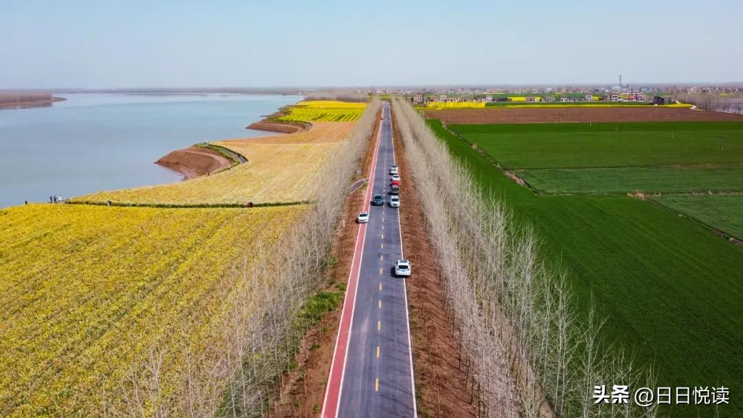 湖北荆州：石首“繁花”上大分↑即将刷爆朋友圈！