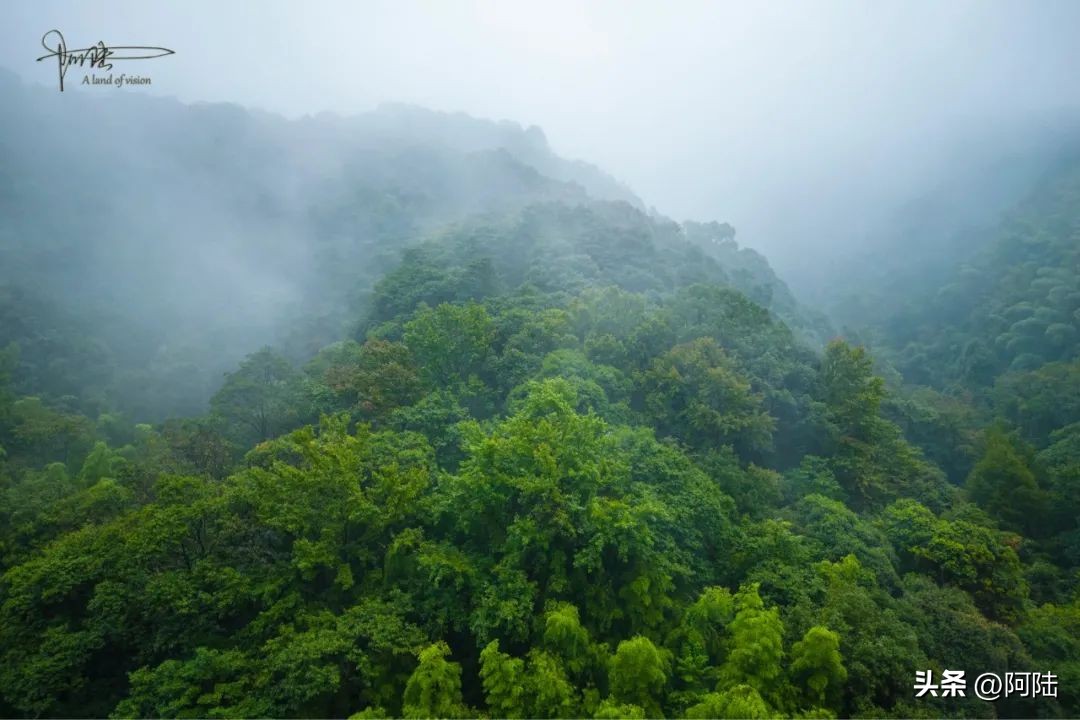 宁海天明山温泉度假村攻略,宁海最好的温泉度假区