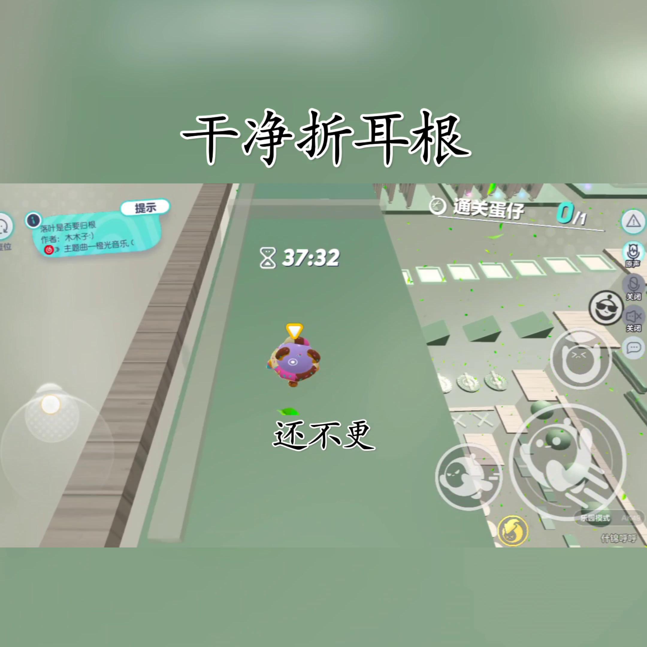 傻猫炸毛,炸毛傻猫知乎完整版