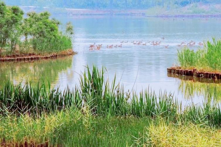 北京周边冬季一日自驾游最佳去处,北京周边自驾游路线攻略推荐