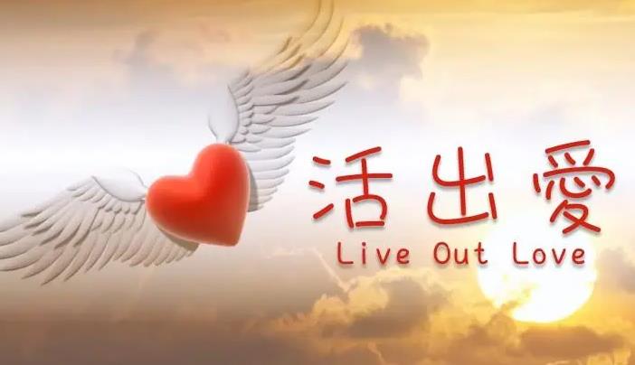 以创业悟人生——不悔，助你走上人生巅峰