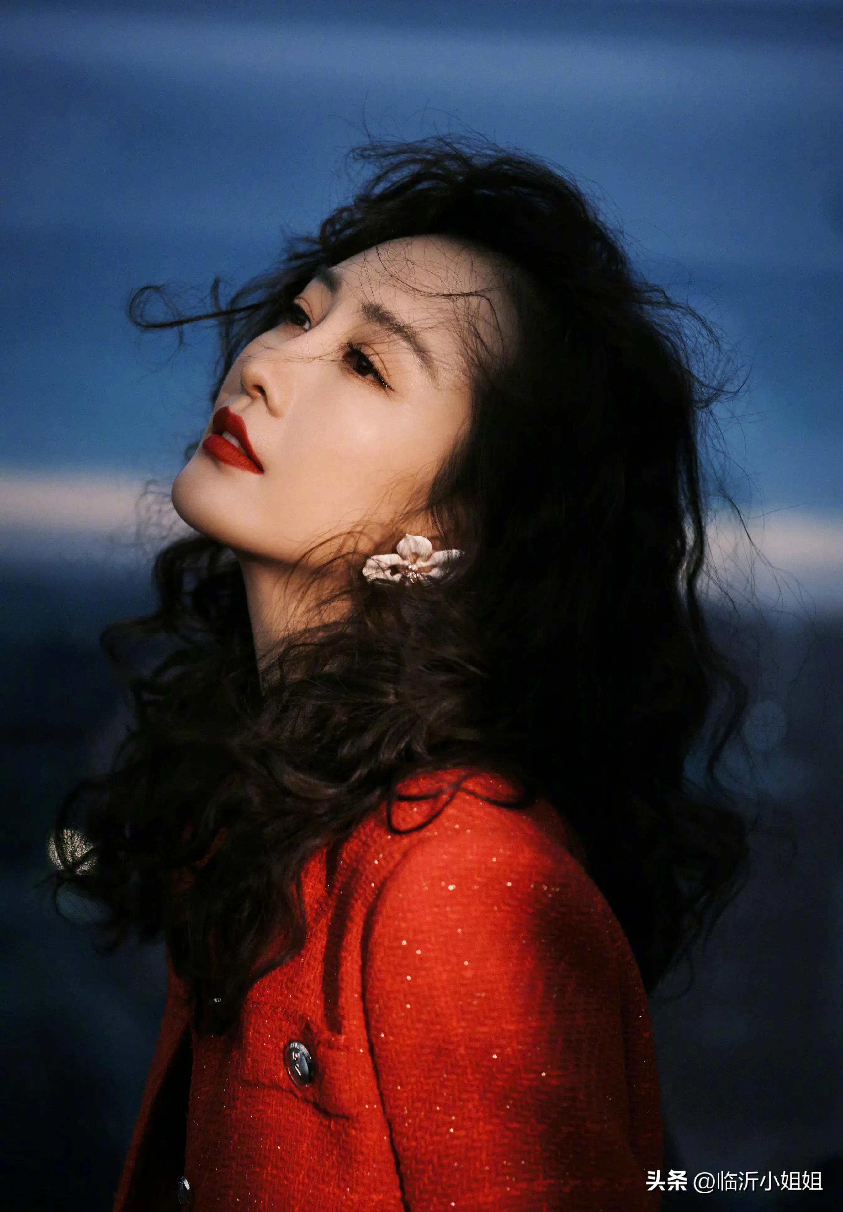 王鸥是典型的气质型美女,王鸥东方知性美女