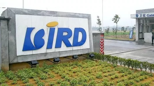 波导手机老款图片,波导v10手机