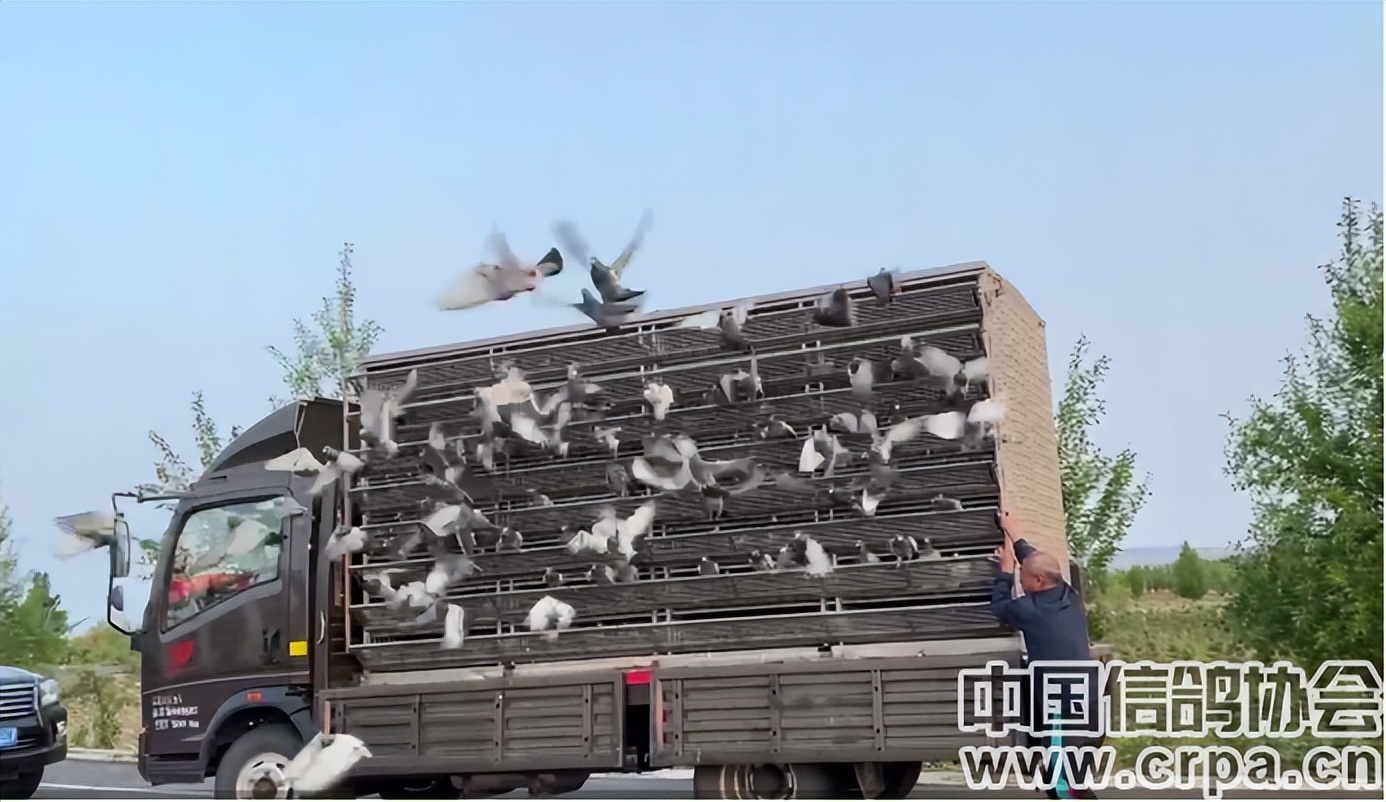 东三省迎来千公里联翔|2023年“国家赛”内蒙古商都赛区今日开战