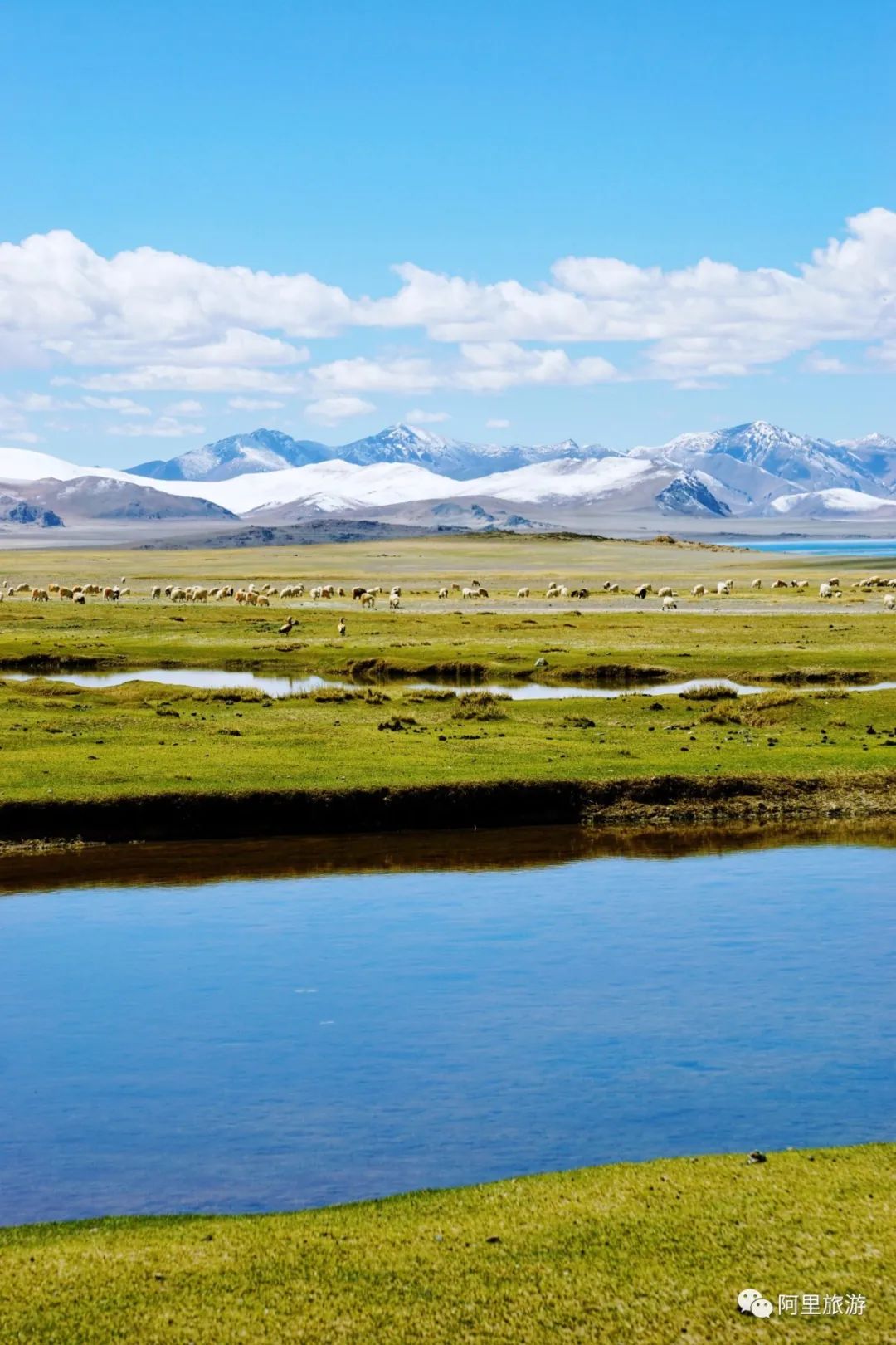 *藏西**不靠海,也能坐拥顶级颜值?靠的是“一措再措”!