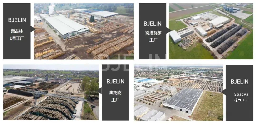 贝杰林地板哪家代理,贝杰林地板怎么样