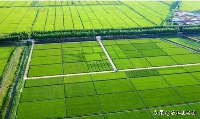 高标准农田建设多少钱一亩,永发乡高标准农田怎么建设