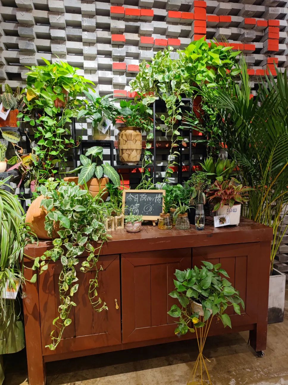 她只想回归自然，开花店却一年净利润50多万元——南宁小姐姐将理想照进了现实