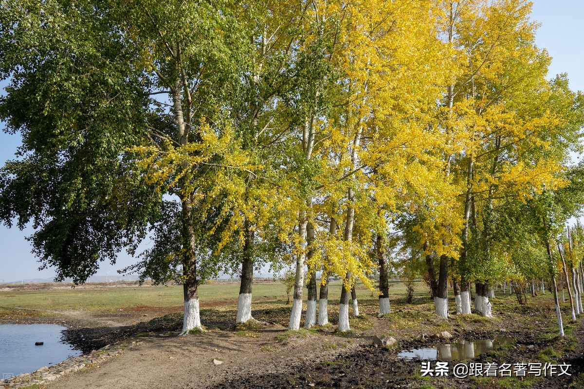 如何能让孩子学会写比喻句,怎样写出体现出活泼的句子