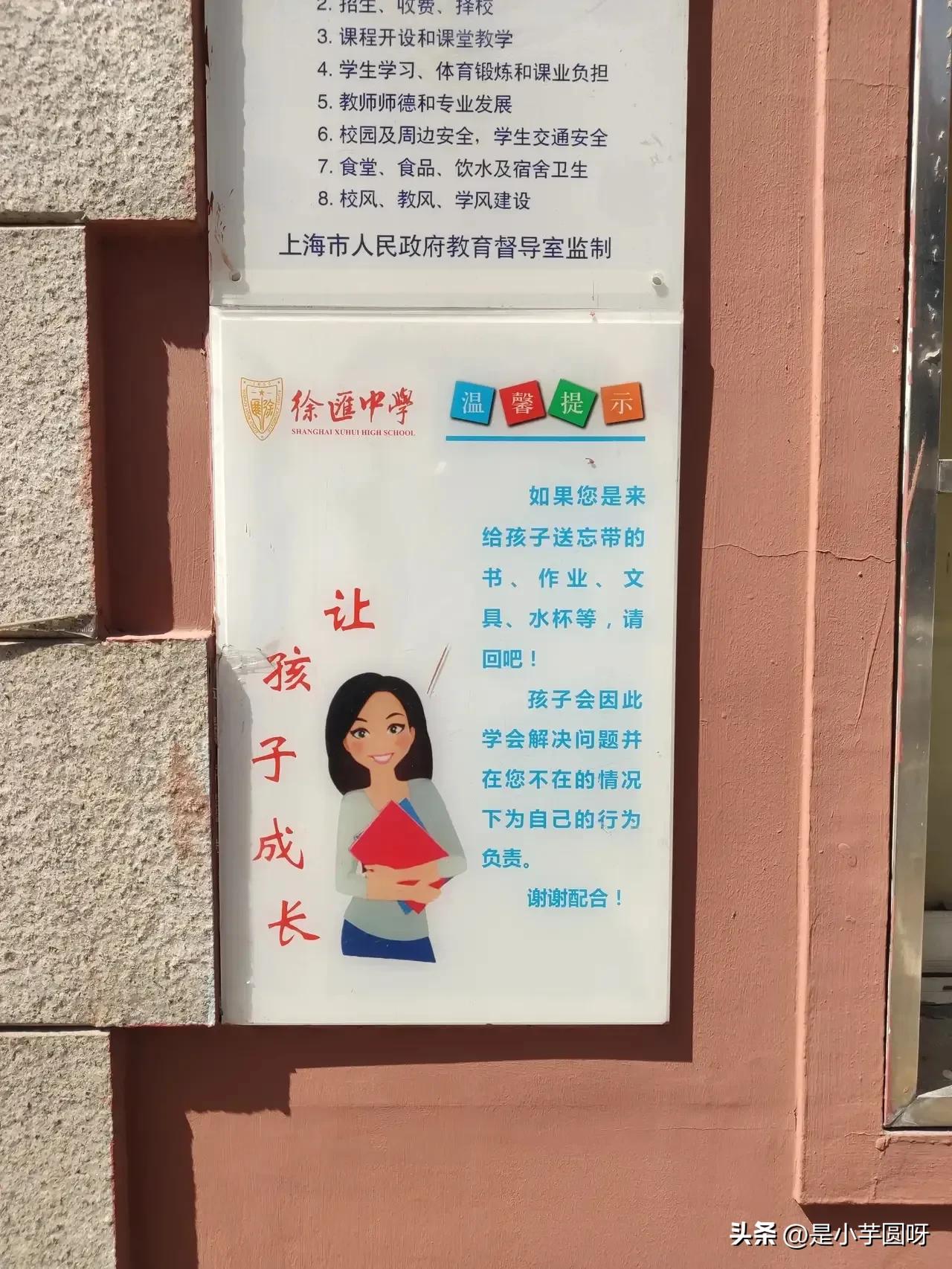 徐汇中学深度解析,徐汇中学的部分解读