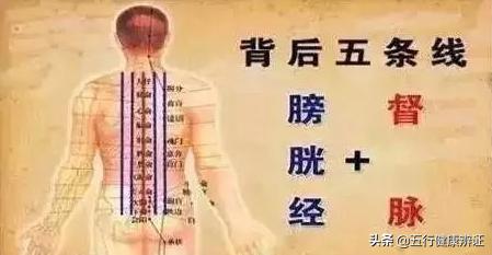 后背发凉寒湿引起的阳气怎么提升,后背发凉提升督脉阳气