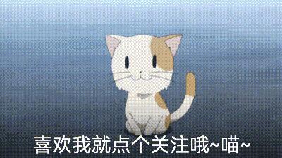 泰迪频繁“舔人”，是想告诉你这6件事，别再忽略了