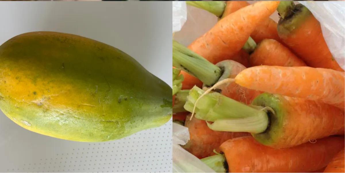 阳台种菜神器,阳台种菜怎么除虫