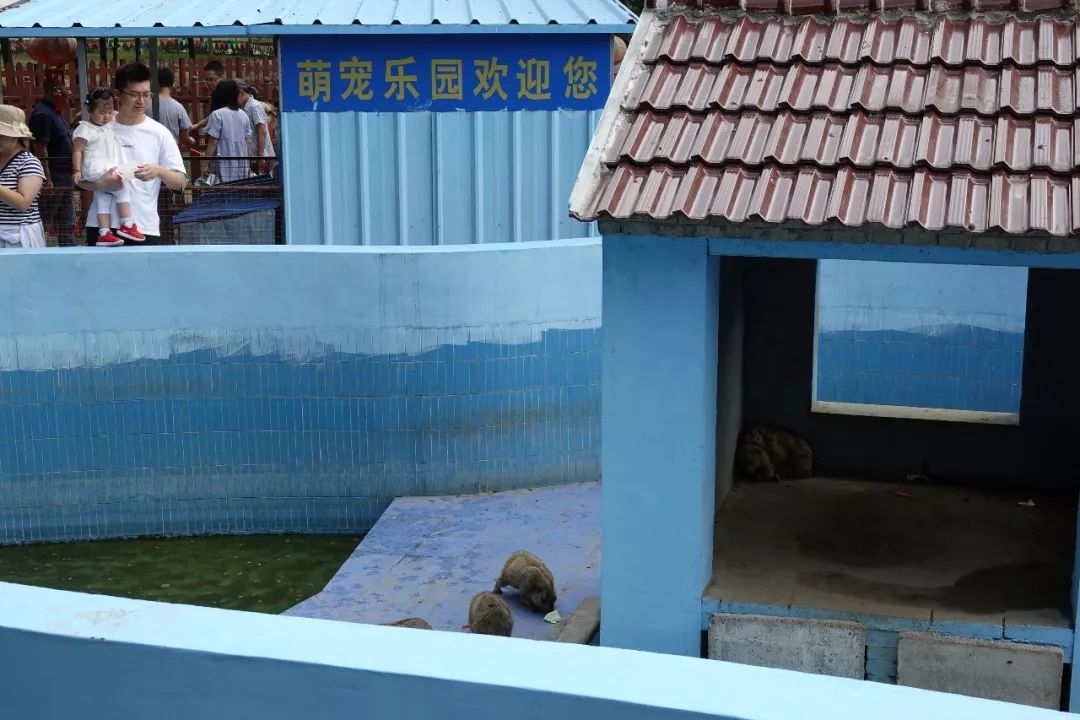 泰州动物园在哪里,泰州动物园在哪