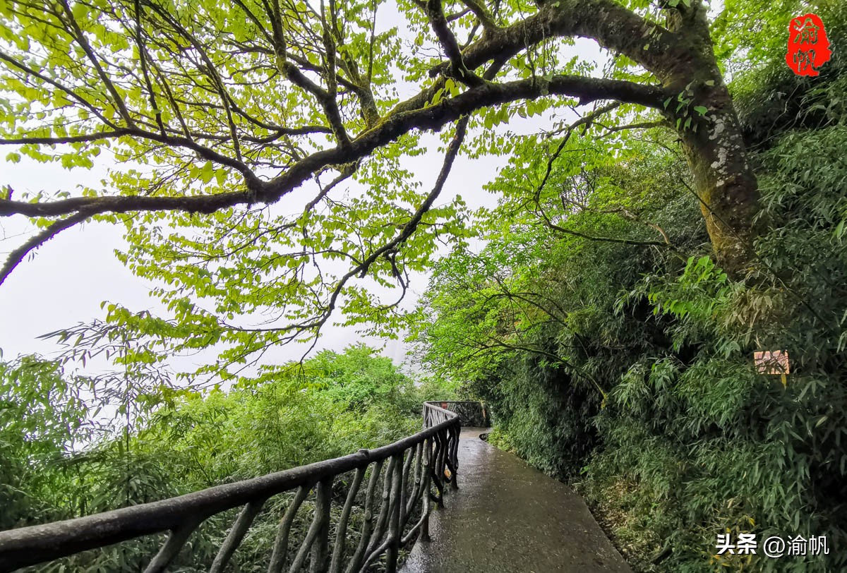 重庆的热门风景好的山,重庆哪座山最适合看城区风景