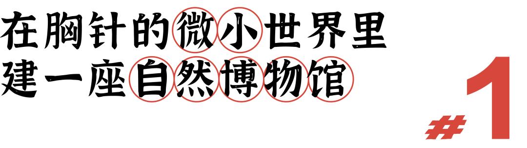 从淘宝到专卖店,从淘宝进天猫