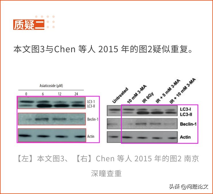 来自山东、湖北、江苏及辽宁等地医院的5篇论文竟都存在图片重复