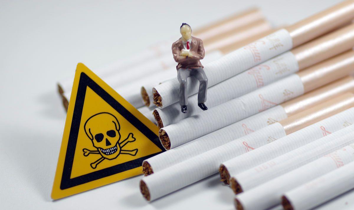 正宗的最便宜雪茄多少钱一盒,一口雪茄一套房子