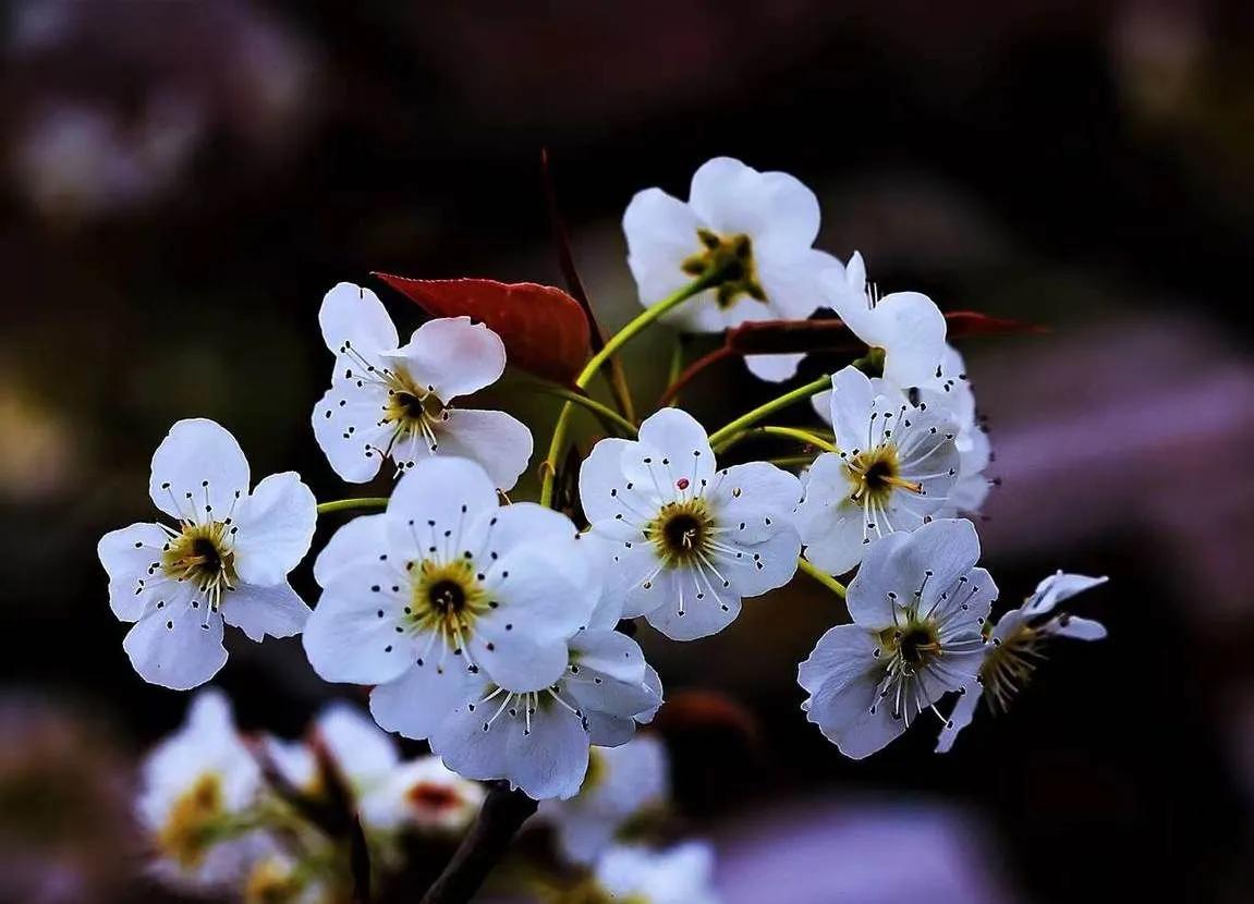 抖得厉害称筛筛神！湖北方言神用法：扭扭神，摆摆神，吼吼神