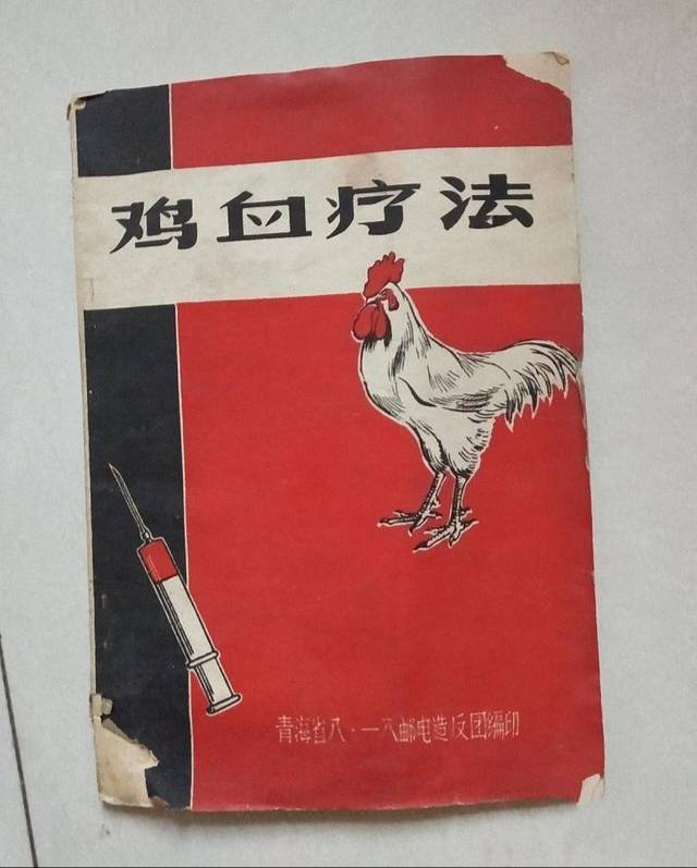 六十年代流行十年的打鸡血疗法,打鸡血真的有效吗