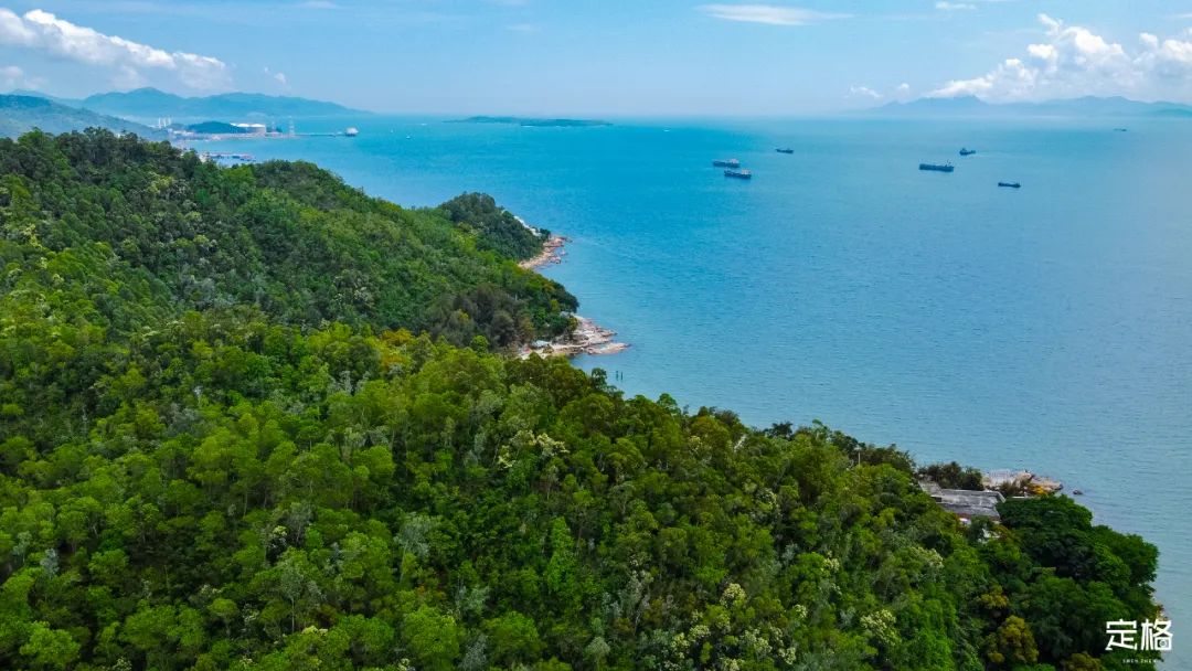 深圳周末休闲放松的好地方有哪些,周末去哪玩深圳推荐几个地方