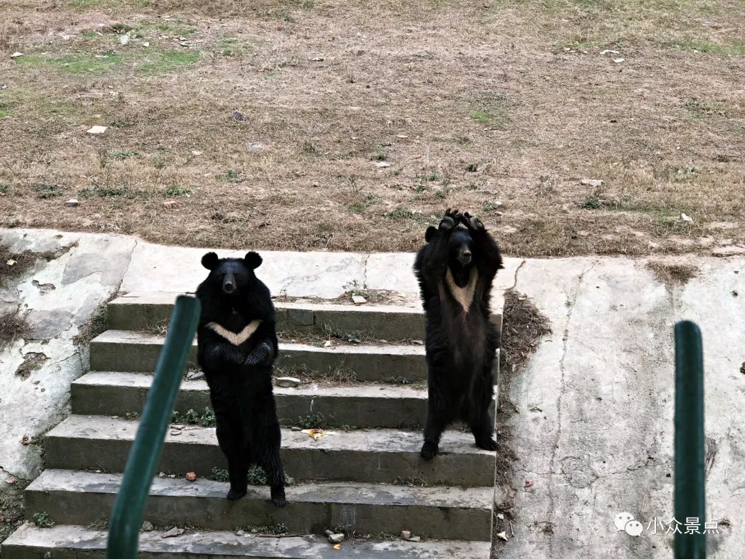 珍珠泉风景区：江北第一游观之所，南京后花园，老山绿色天堂~