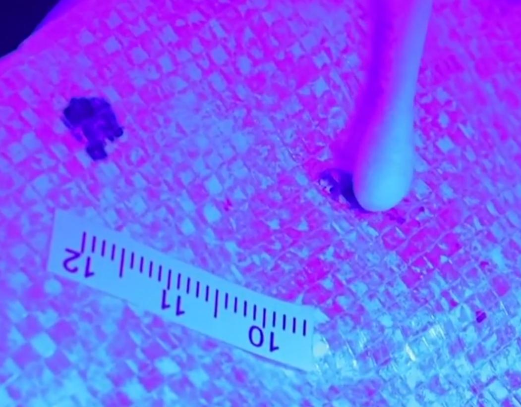 多名少女被抛尸荒野真实事件,19岁少女被抛尸荒野