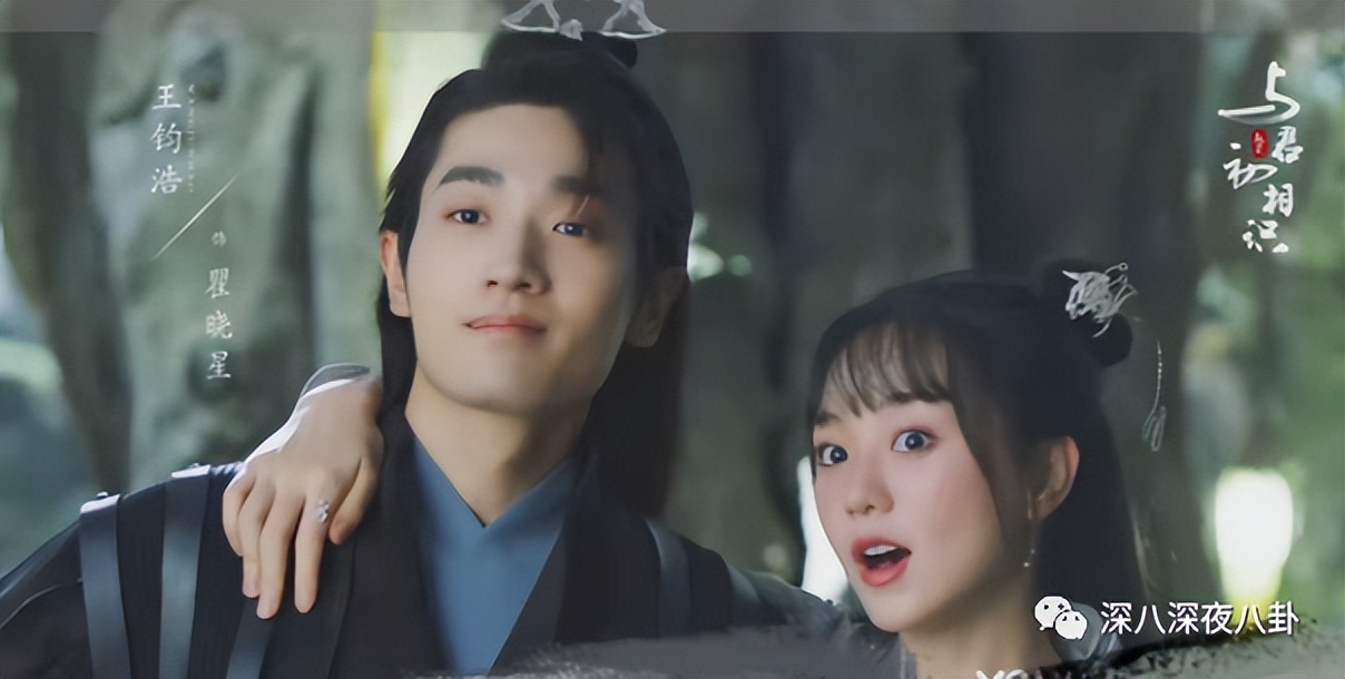 王子腾人物评价,王子腾是男的还是女的