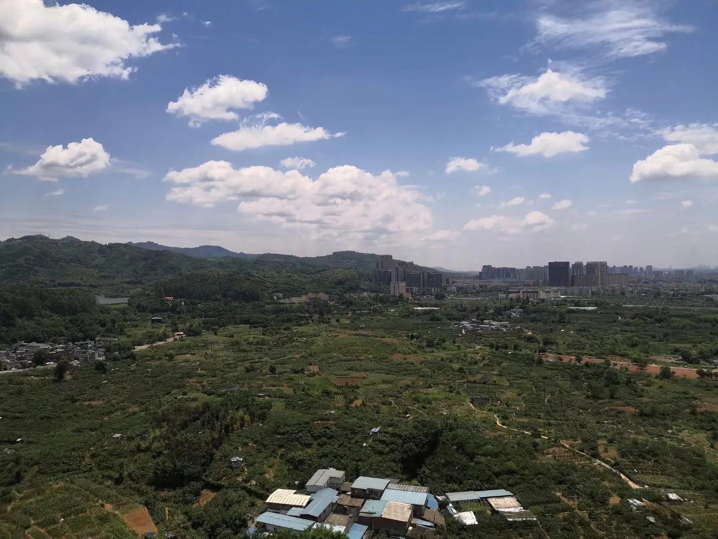 部位取料要求,第3节运用了哪些说明方法