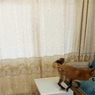 u盘启动三种模式介绍,u盘启动模式常见的有哪几种呢