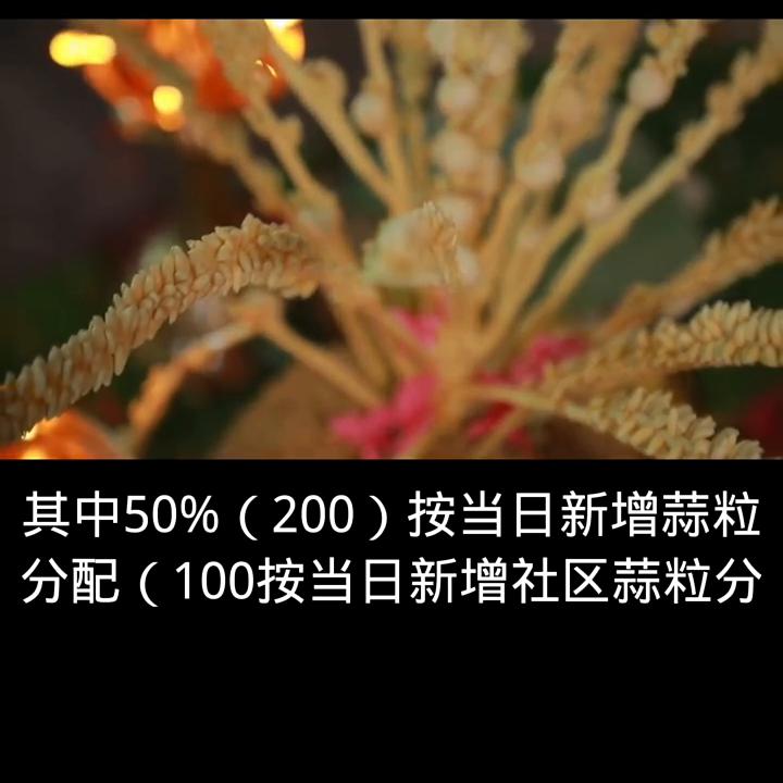 蒜粒社是什么平台,蒜粒社app官方