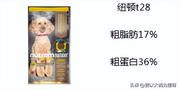 狗狗减肥狗粮吃多少合适,狗狗减肥狗粮什么牌子的好