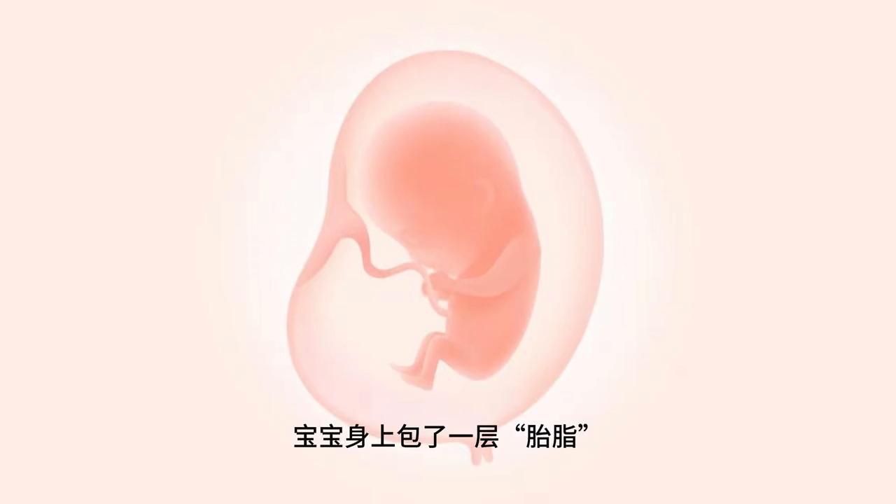 准妈妈们看过来孕17-18周注意事项,孕妈要知道的孕早期10个注意事项