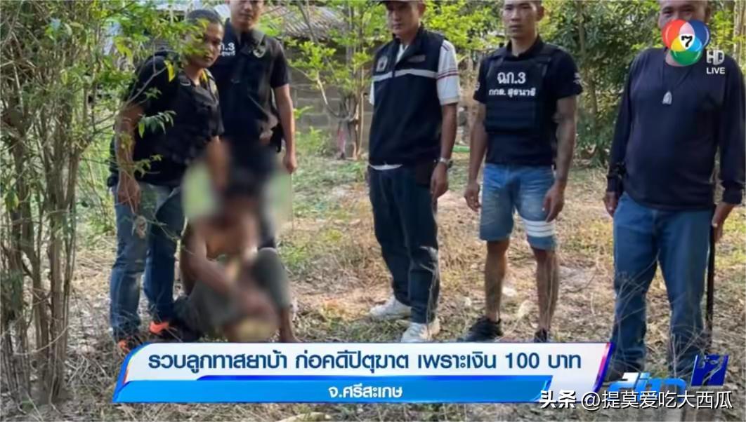 泰国开放工业大麻,泰国大麻合法化后续影响