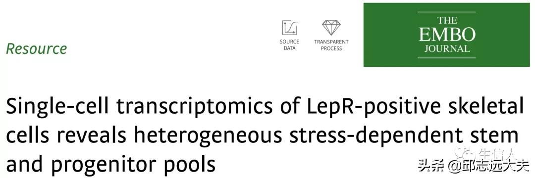 单细胞测序干湿结合,单细胞测序数据分析教程